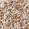 Beans-Oloka-1bag