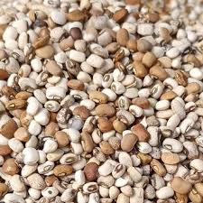 Beans-Oloka-1bag