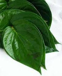 Utazi leaf 1bulk