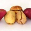 Kolanut 1piece