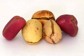 Kolanut 1piece