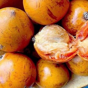 Agbalumo- African star Apple 10pcs