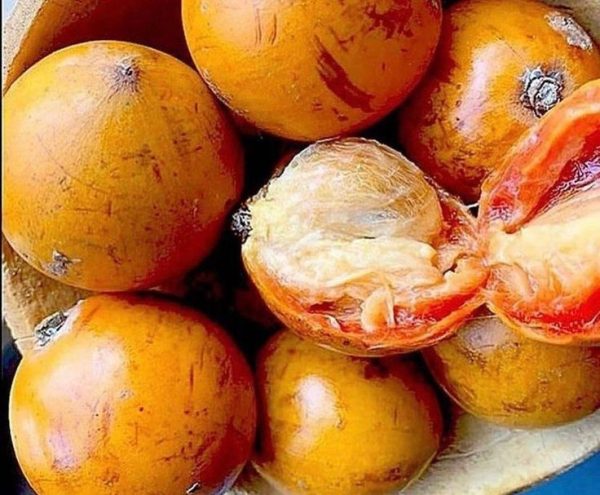 Agbalumo- African star Apple 10pcs