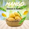 Mango 15pcs