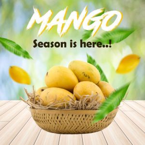 Mango 15pcs