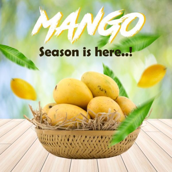 Mango 15pcs