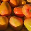 Mango 15pcs