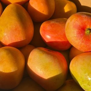 Mango 15pcs