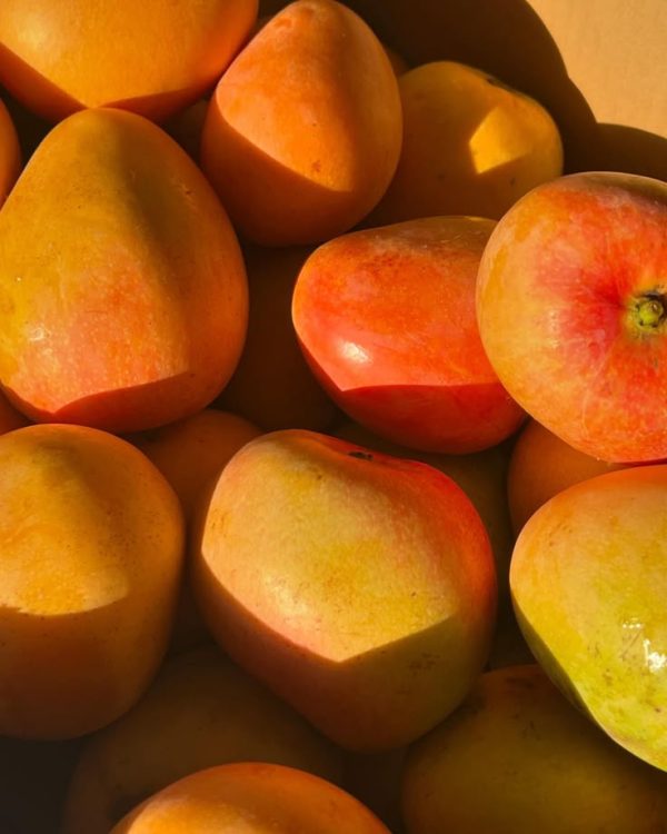 Mango 15pcs